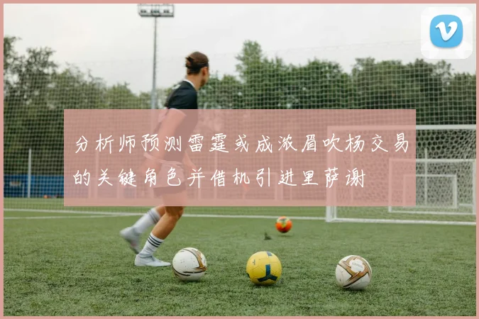分析师预测雷霆或成浓眉吹杨交易的关键角色并借机引进里萨谢