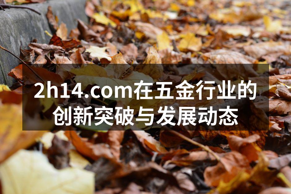 2h14.com新型智能工具展示